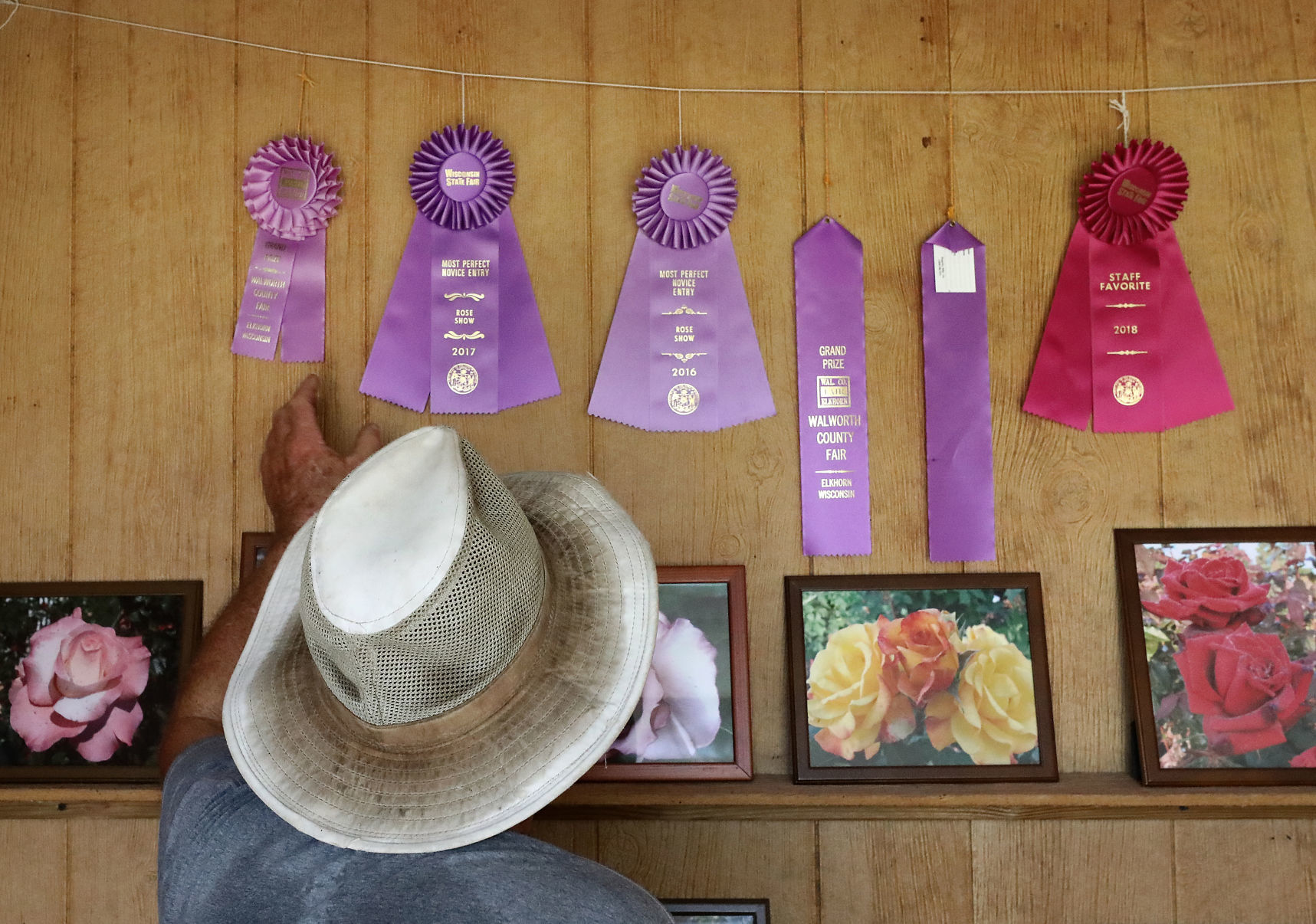 Rose gardener has won many awards